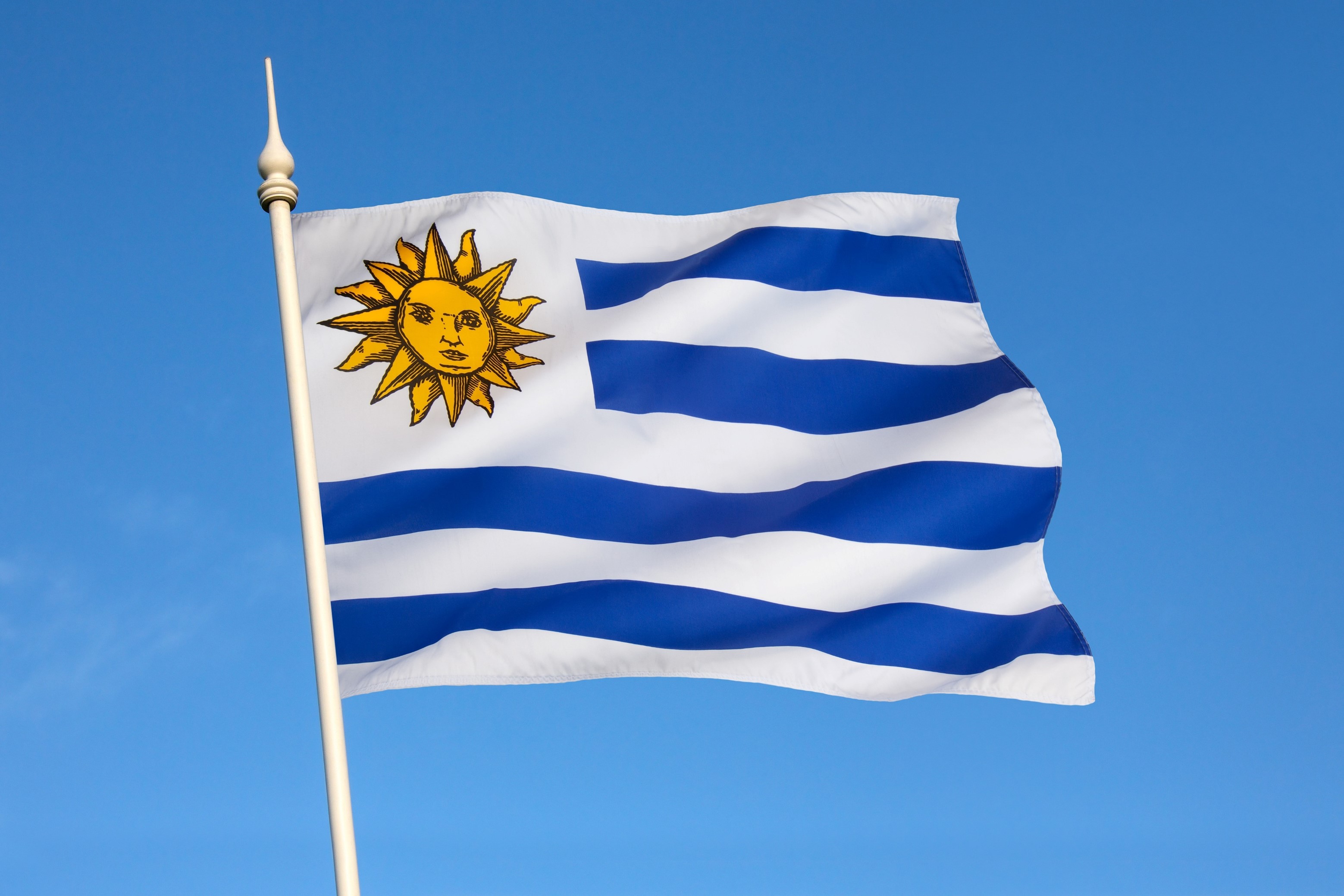 Ideas de negocios rentables en Uruguay